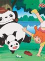 Las Aventuras de Panda y sus amigos